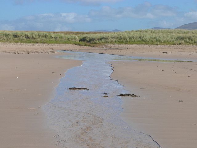Sleepy Bulldozer on Islay's Big Strand