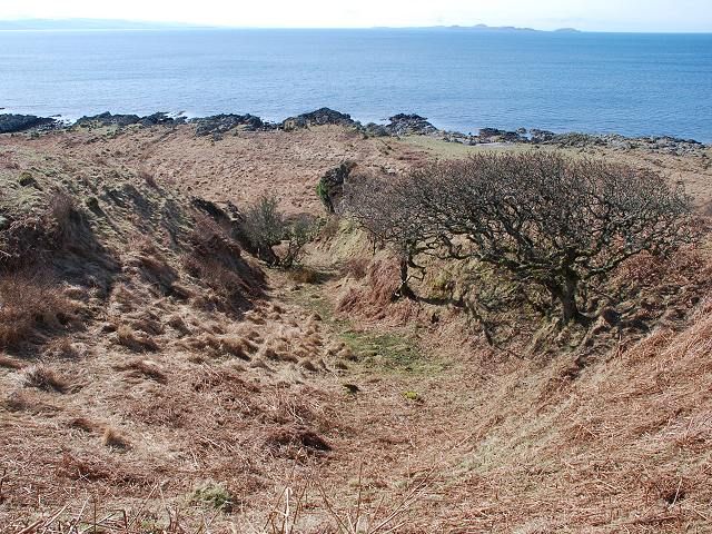 Gully leading to the shore