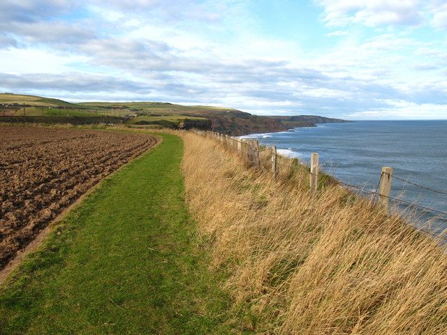 Berwickshire Coastal Path at Marshall Meadows
