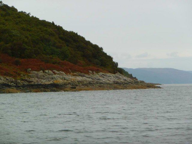 Loch Fyne shoreline