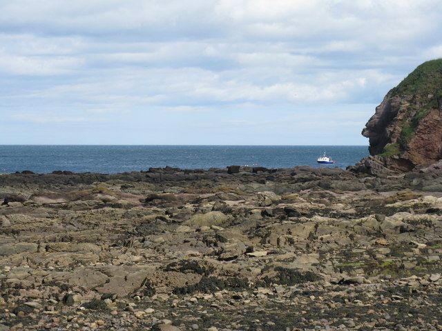 Ross Point at Burnmouth