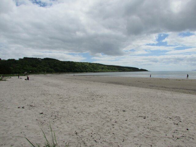 Forest next to Kilbride Bay