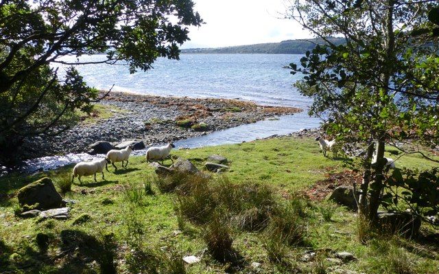 Shore with descending burn