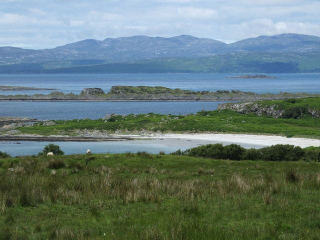 Hill above Kilmory Bay