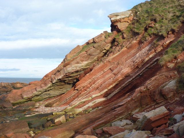 Timber on the shore, Pease Bay