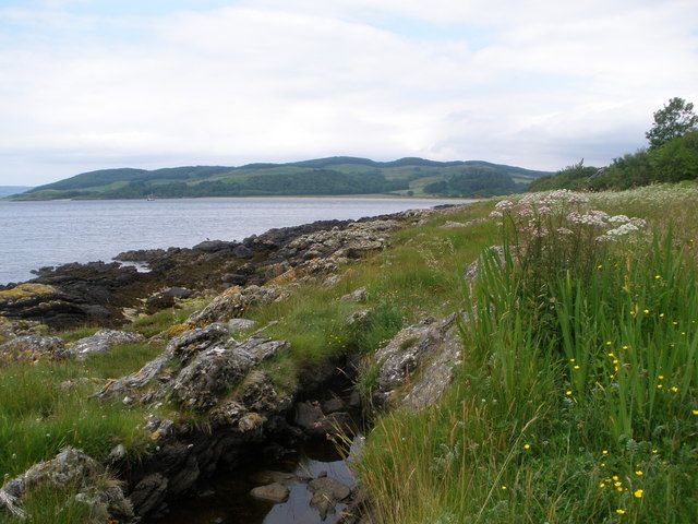 Shoreline Kilfinan Bay, Loch Fyne.