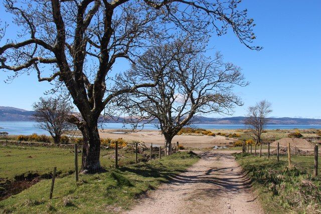 Road to the shore at Kilfinan Bay