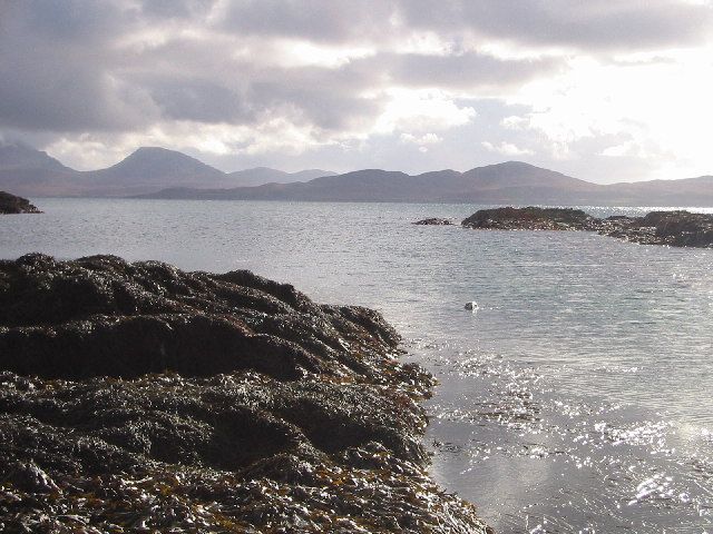 One of the resident seals, Eilean nan Ron
