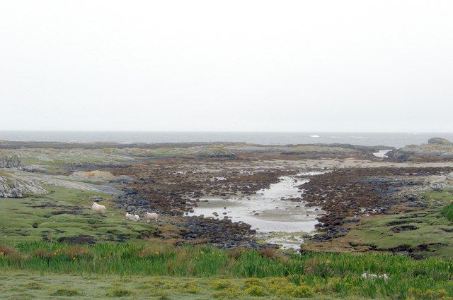 Oronsay coastal prairie with rocky shore area beyond