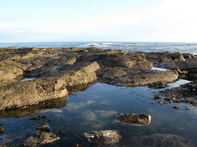 Low Tide Rocks at St Baldred's Cradle, Tyninghame