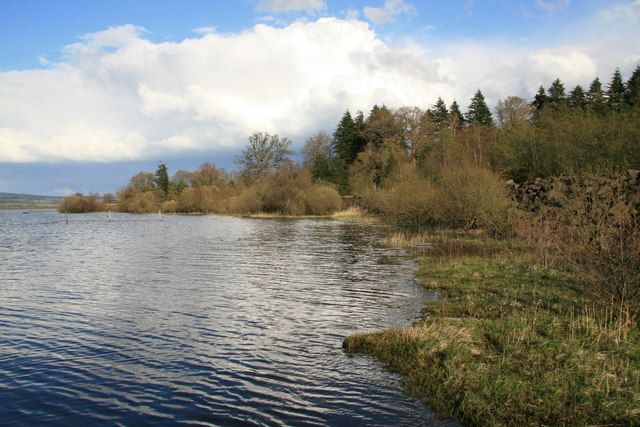 Foreshore Loch Lomond