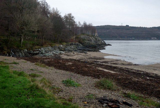 Weedy beach at Shepherd's Point