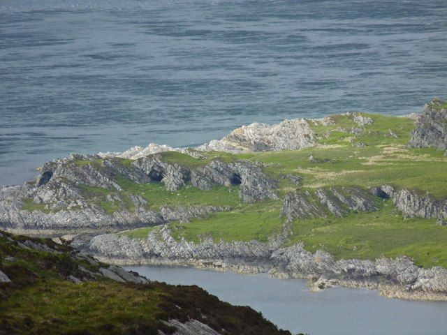 Goats on the shores of Jura
