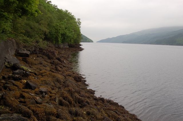 Shoreline of Loch Long