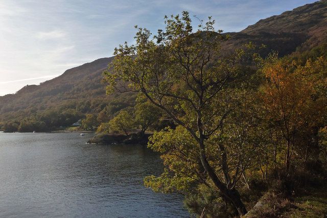 Shore of Loch Lomond south of Rubha Dubh