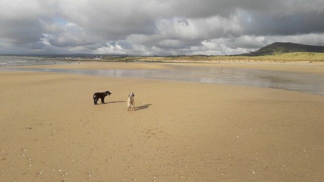 On the beach at Dumbarnie Links