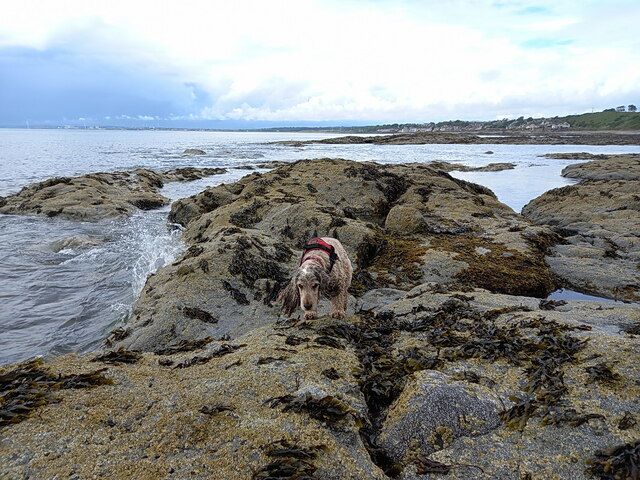 Exploring the rocks near the lower tidal limit