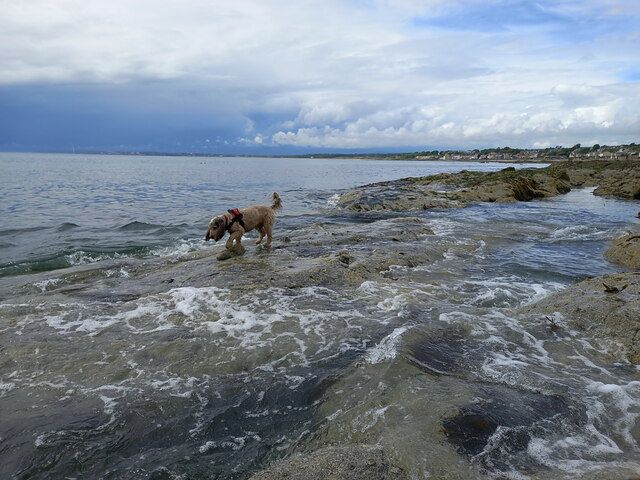 Right on the edge of the rocks