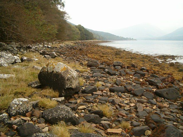 Wooded shore of Loch Fyne
