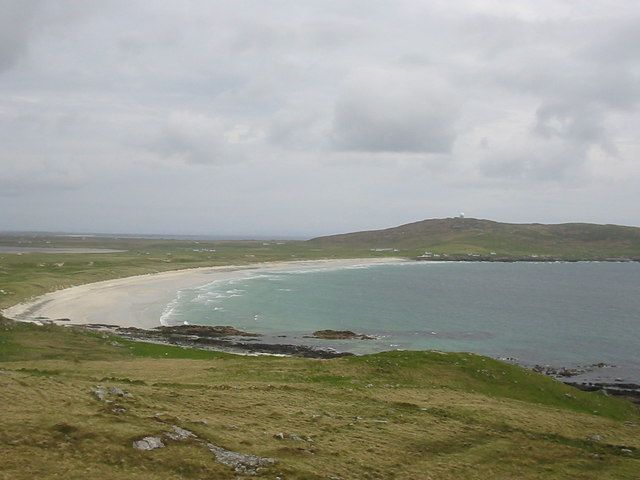Lambs by the seashore