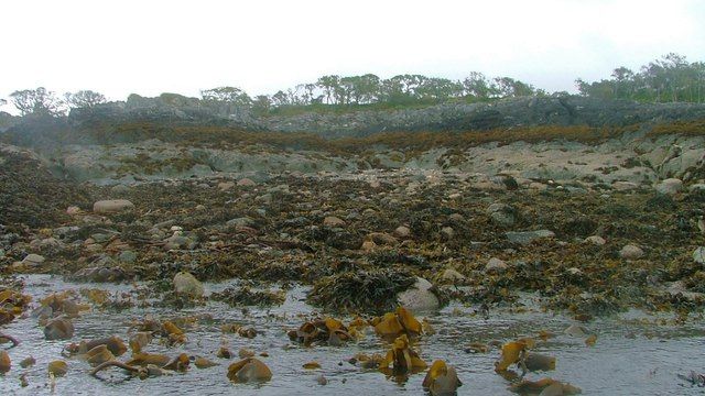 Shoreline bear Rubha nam Blàr Bòidheach