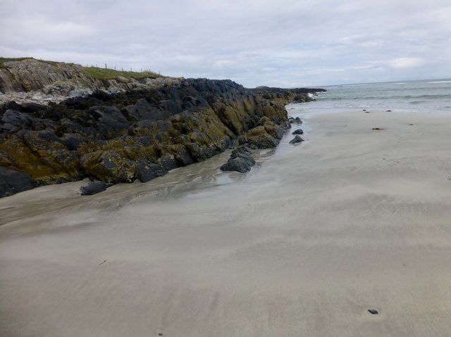 Sanderlings, Tràigh Feall