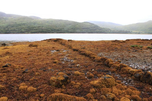 Shoreline of Loch Teacuis