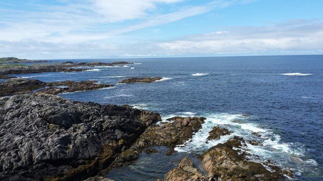 Rocky shoreline on Coll