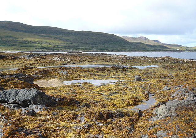 Rocky Foreshore at Port Bàn