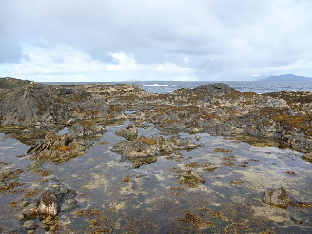 Rocky Foreshore