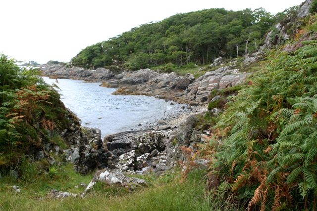 Bay below Beasdale Station