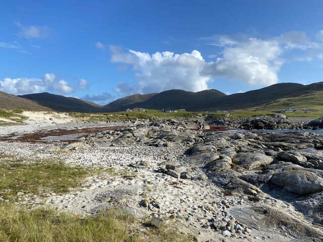 Beach-top debris