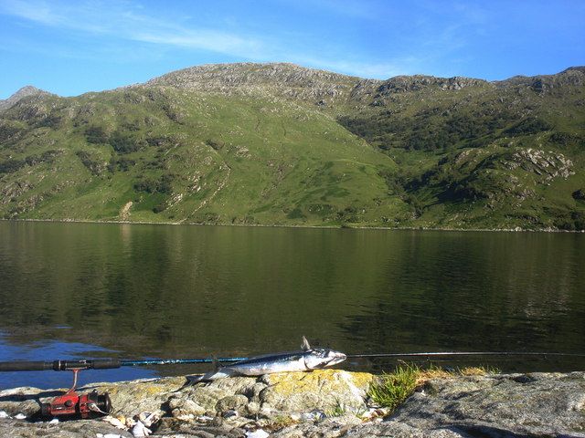Looking towards shoreline below Carn Dubh