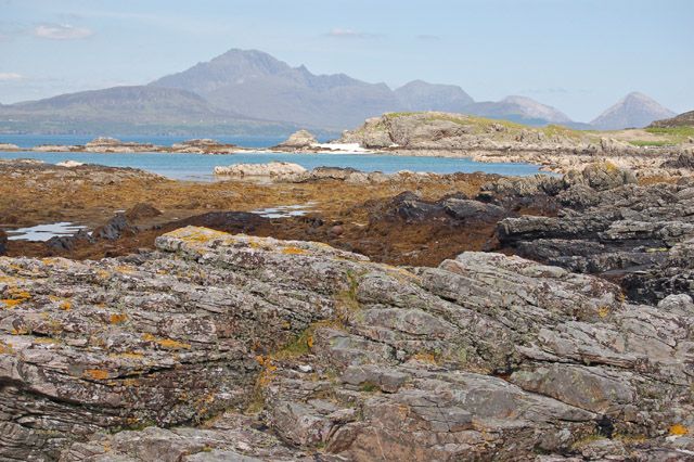 Shoreline at Dalavil