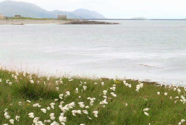Cottage on the Shoreline