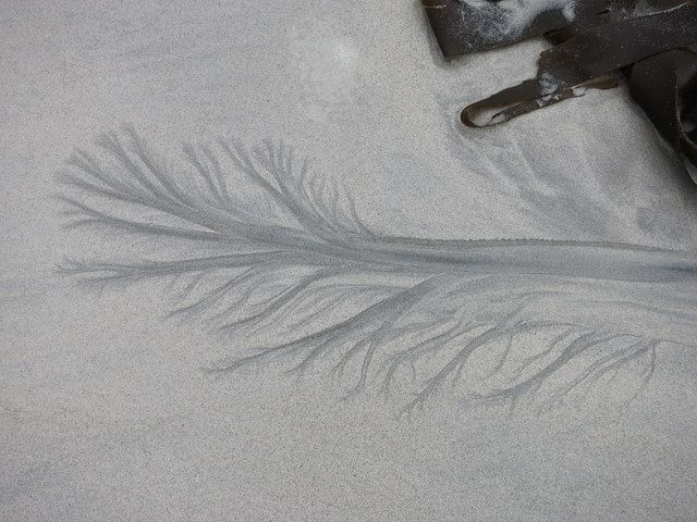 Drainage pattern on the beach