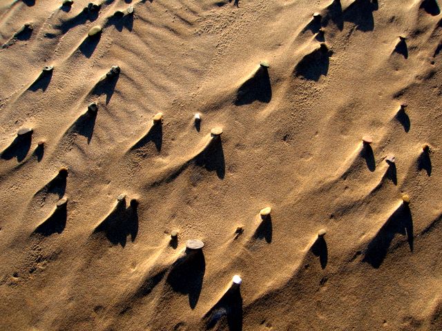 Patterns on the beach east of Newburgh