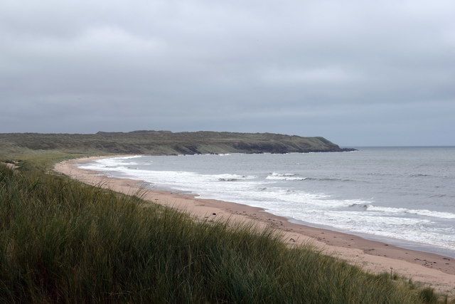 Dune coast at Forvie National Nature Reserve