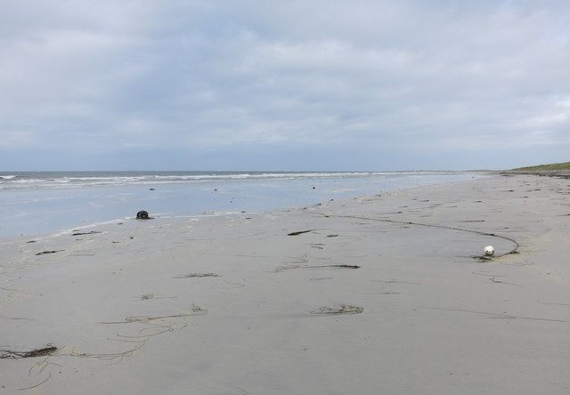 Lobster pot on the beach