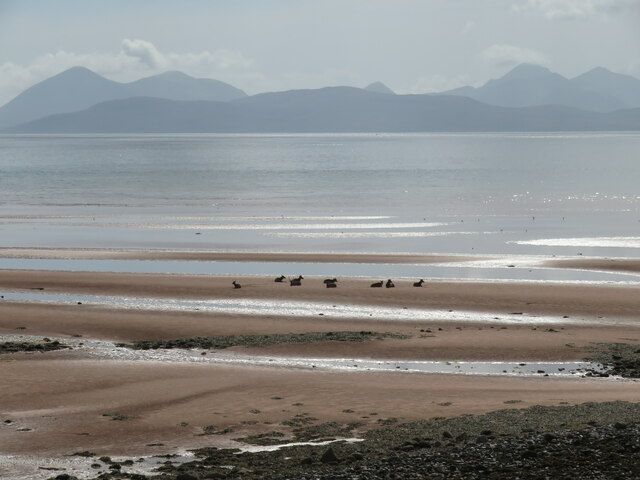 Beach stag party
