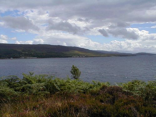 Bracken above the Bay