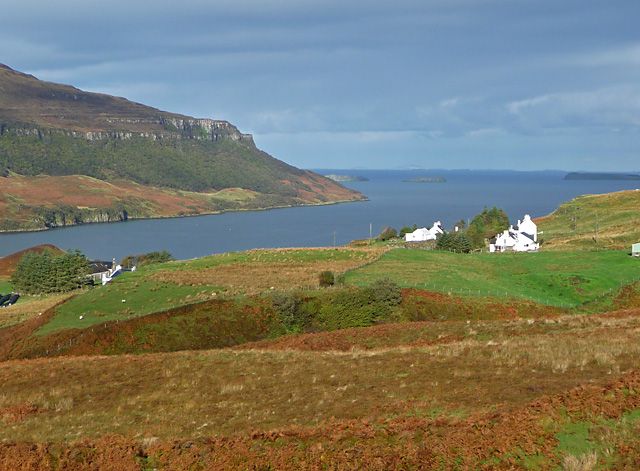 Rough grazing at Bay