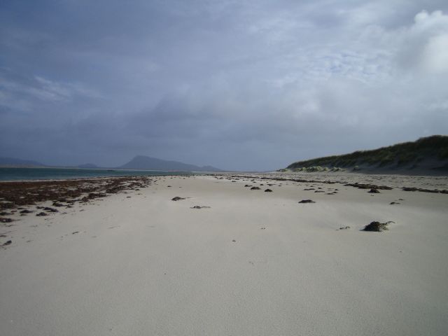 I Knew I Should Have Brought The Bucket And Spade!