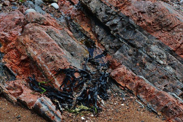 Rosemarkie Beach: Interesting rocks seen by the Hillockhead Cliff Path