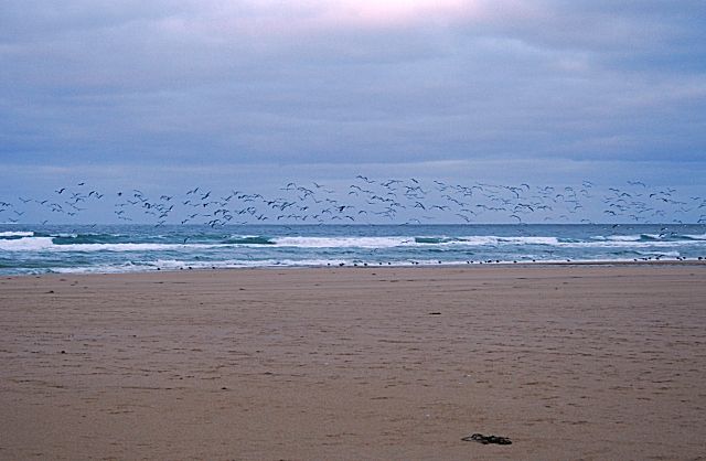 Beach south of St Combs