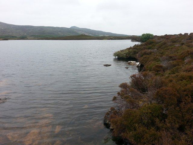 Loch na Leacaich Shoreline