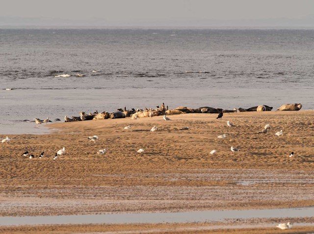 Sandbar off the beach at Findhorn