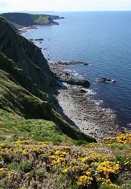 Shore at Whitehill