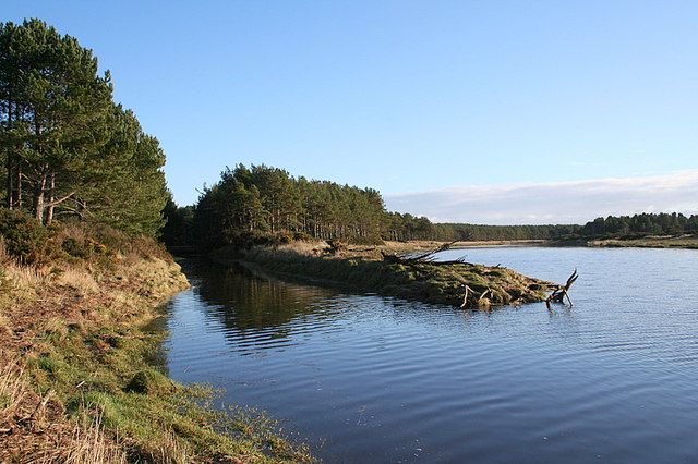 Dunes and Lossie Forest