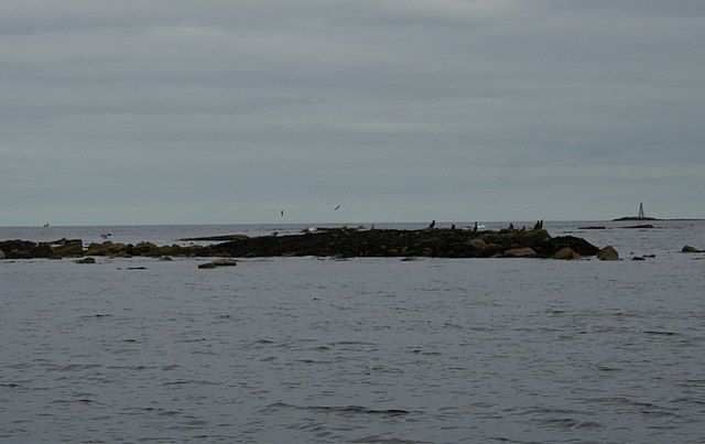 The northeast tip of the Covesea Skerries